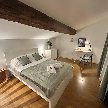 Appartement Duplex Charles Iii Elegance & Comfort Hyper-center